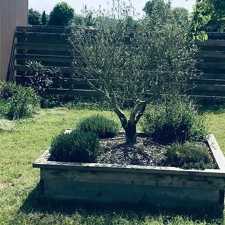 Du Garlai 3* Bressuire