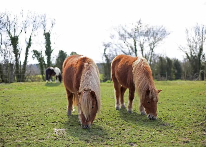 Du Garlai Casa de hóspedes