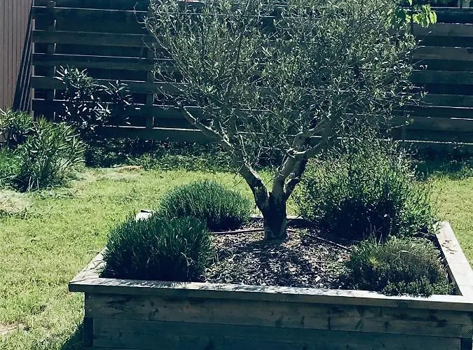 Du Garlai 3* Bressuire